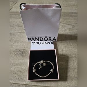 🔥SALE🔥Pandora bracelet with charms